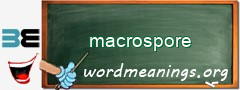WordMeaning blackboard for macrospore